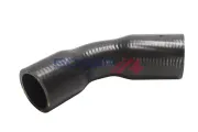 Kühlerschlauch BOGAP C4228443