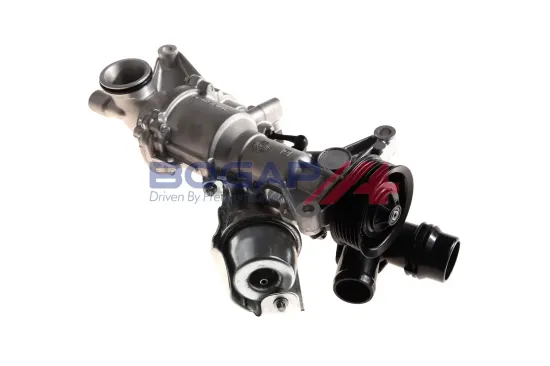 Wasserpumpe, Motorkühlung BOGAP C4234100 Bild Wasserpumpe, Motorkühlung BOGAP C4234100