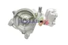 Wasserpumpe, Motorkühlung BOGAP C4234121 Bild Wasserpumpe, Motorkühlung BOGAP C4234121