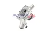 Wasserpumpe, Motorkühlung BOGAP C4234129 Bild Wasserpumpe, Motorkühlung BOGAP C4234129