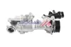 Wasserpumpe, Motorkühlung BOGAP C4234141 Bild Wasserpumpe, Motorkühlung BOGAP C4234141