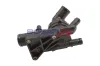 Thermostatgehäuse BOGAP C4246100 Bild Thermostatgehäuse BOGAP C4246100