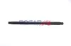 Gasfeder, Koffer-/Laderaum hinten links BOGAP C5134119