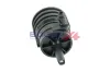 Waschwasserpumpe, Scheibenreinigung BOGAP C5520110 Bild Waschwasserpumpe, Scheibenreinigung BOGAP C5520110