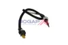 Sensor, Abgastemperatur 12 V BOGAP C6120165