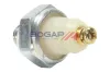 Öldruckschalter BOGAP C6123103 Bild Öldruckschalter BOGAP C6123103