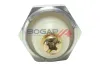Öldruckschalter BOGAP C6123103 Bild Öldruckschalter BOGAP C6123103