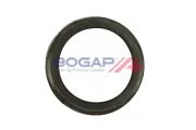 Dichtung, Nockenwellenverstellung BOGAP E1367100
