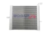 Kühler, Motorkühlung BOGAP E4210106 Bild Kühler, Motorkühlung BOGAP E4210106