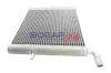 Kühler, Motorkühlung BOGAP E4210106 Bild Kühler, Motorkühlung BOGAP E4210106