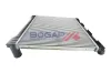 Ladeluftkühler BOGAP E4220101 Bild Ladeluftkühler BOGAP E4220101