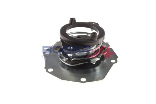 Wasserpumpe, Motorkühlung BOGAP E4234108 Bild Wasserpumpe, Motorkühlung BOGAP E4234108