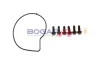 Wasserpumpe, Motorkühlung BOGAP E4234108 Bild Wasserpumpe, Motorkühlung BOGAP E4234108