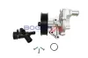 Wasserpumpe, Motorkühlung BOGAP E4234115 Bild Wasserpumpe, Motorkühlung BOGAP E4234115