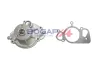 Wasserpumpe, Motorkühlung BOGAP E4234116 Bild Wasserpumpe, Motorkühlung BOGAP E4234116