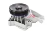 Wasserpumpe, Motorkühlung BOGAP E4234118 Bild Wasserpumpe, Motorkühlung BOGAP E4234118