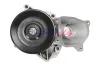 Wasserpumpe, Motorkühlung BOGAP E4234118 Bild Wasserpumpe, Motorkühlung BOGAP E4234118
