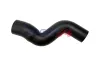 Ladeluftschlauch BOGAP F1711102 Bild Ladeluftschlauch BOGAP F1711102