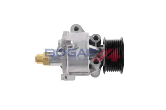 Unterdruckpumpe, Bremsanlage BOGAP F1916100 Bild Unterdruckpumpe, Bremsanlage BOGAP F1916100
