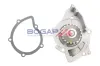 Wasserpumpe, Motorkühlung BOGAP F4232101 Bild Wasserpumpe, Motorkühlung BOGAP F4232101