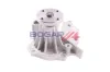 Wasserpumpe, Motorkühlung BOGAP F4234100 Bild Wasserpumpe, Motorkühlung BOGAP F4234100