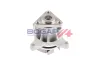 Wasserpumpe, Motorkühlung BOGAP F4234102 Bild Wasserpumpe, Motorkühlung BOGAP F4234102