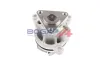 Wasserpumpe, Motorkühlung BOGAP F4234102 Bild Wasserpumpe, Motorkühlung BOGAP F4234102