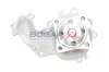 Wasserpumpe, Motorkühlung BOGAP F4234122 Bild Wasserpumpe, Motorkühlung BOGAP F4234122