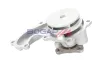 Wasserpumpe, Motorkühlung BOGAP F4234122 Bild Wasserpumpe, Motorkühlung BOGAP F4234122