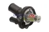 Thermostat, Kühlmittel BOGAP F4245105