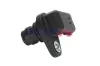 Sensor, Nockenwellenposition Einlassseite Auslassseite BOGAP F6116105 Bild Sensor, Nockenwellenposition Einlassseite Auslassseite BOGAP F6116105