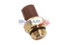 Sensor, Kühlmitteltemperatur 5 V BOGAP H4126100 Bild Sensor, Kühlmitteltemperatur 5 V BOGAP H4126100