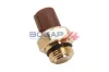 Sensor, Kühlmitteltemperatur 5 V BOGAP H4126100 Bild Sensor, Kühlmitteltemperatur 5 V BOGAP H4126100