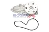 Wasserpumpe, Motorkühlung BOGAP H4234107 Bild Wasserpumpe, Motorkühlung BOGAP H4234107