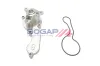 Wasserpumpe, Motorkühlung BOGAP H4234108 Bild Wasserpumpe, Motorkühlung BOGAP H4234108