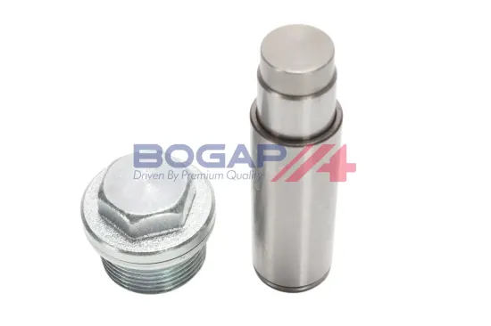 Spanner, Steuerkette BOGAP L1312104 Bild Spanner, Steuerkette BOGAP L1312104
