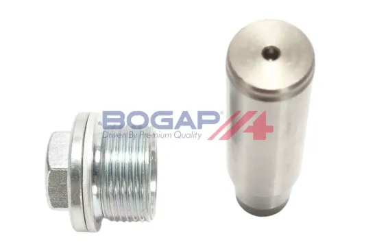 Spanner, Steuerkette BOGAP L1312104 Bild Spanner, Steuerkette BOGAP L1312104