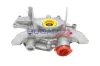 Ölpumpe BOGAP L1410100 Bild Ölpumpe BOGAP L1410100
