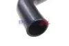 Ladeluftschlauch BOGAP L1711102 Bild Ladeluftschlauch BOGAP L1711102