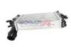 Ladeluftkühler BOGAP N4220100 Bild Ladeluftkühler BOGAP N4220100