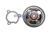 Wasserpumpe, Motorkühlung BOGAP N4234105 Bild Wasserpumpe, Motorkühlung BOGAP N4234105