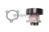 Wasserpumpe, Motorkühlung BOGAP N4234105 Bild Wasserpumpe, Motorkühlung BOGAP N4234105