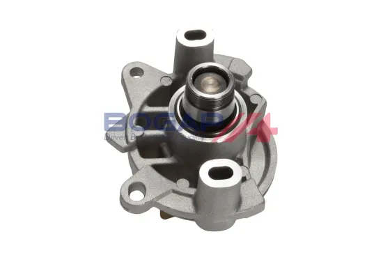 Wasserpumpe, Motorkühlung BOGAP N4234110 Bild Wasserpumpe, Motorkühlung BOGAP N4234110