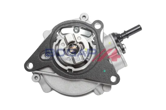 Unterdruckpumpe, Bremsanlage BOGAP P1916115 Bild Unterdruckpumpe, Bremsanlage BOGAP P1916115