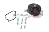 Wasserpumpe, Motorkühlung BOGAP P4234104 Bild Wasserpumpe, Motorkühlung BOGAP P4234104