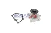 Wasserpumpe, Motorkühlung BOGAP P4234113 Bild Wasserpumpe, Motorkühlung BOGAP P4234113