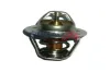 Thermostat, K&uuml;hlmittel BOGAP P4245100