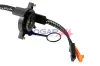 Wickelfeder, Airbag 12 V BOGAP P7310101 Bild Wickelfeder, Airbag 12 V BOGAP P7310101