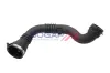 Ladeluftschlauch BOGAP R1711185