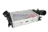 Ladeluftkühler BOGAP R4220101 Bild Ladeluftkühler BOGAP R4220101